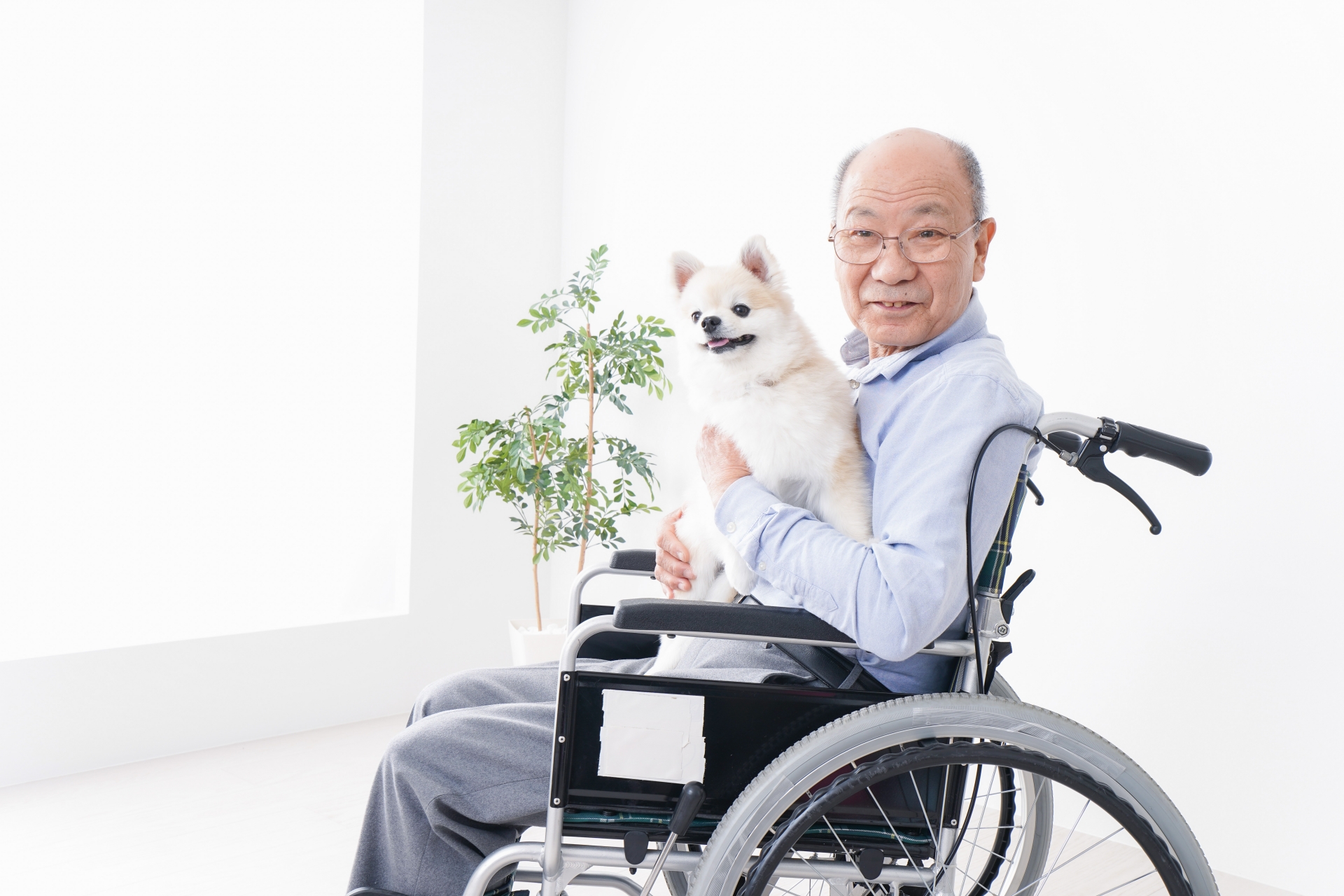 利用者からの声